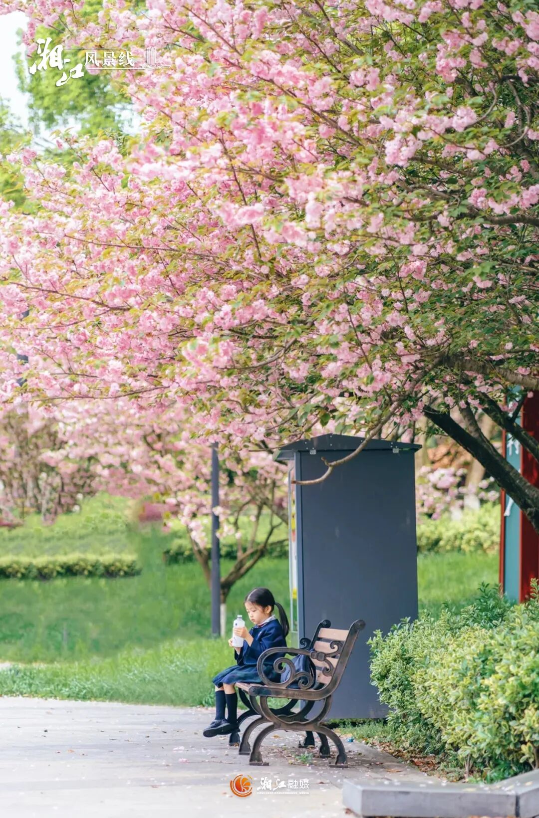 ���յ�������